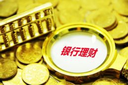 春分玄鸟至 泉州冬夏季候鸟开启“换岗”迁徙潮